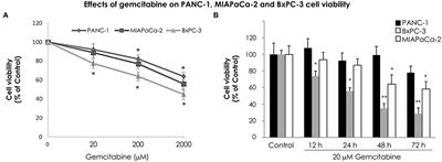 A Novel E2F1-EP300-VMP1 Pathway Mediates Gemcitabine-Induced Autophagy in Pancreatic Cancer Cells Carrying Oncogenic KRAS